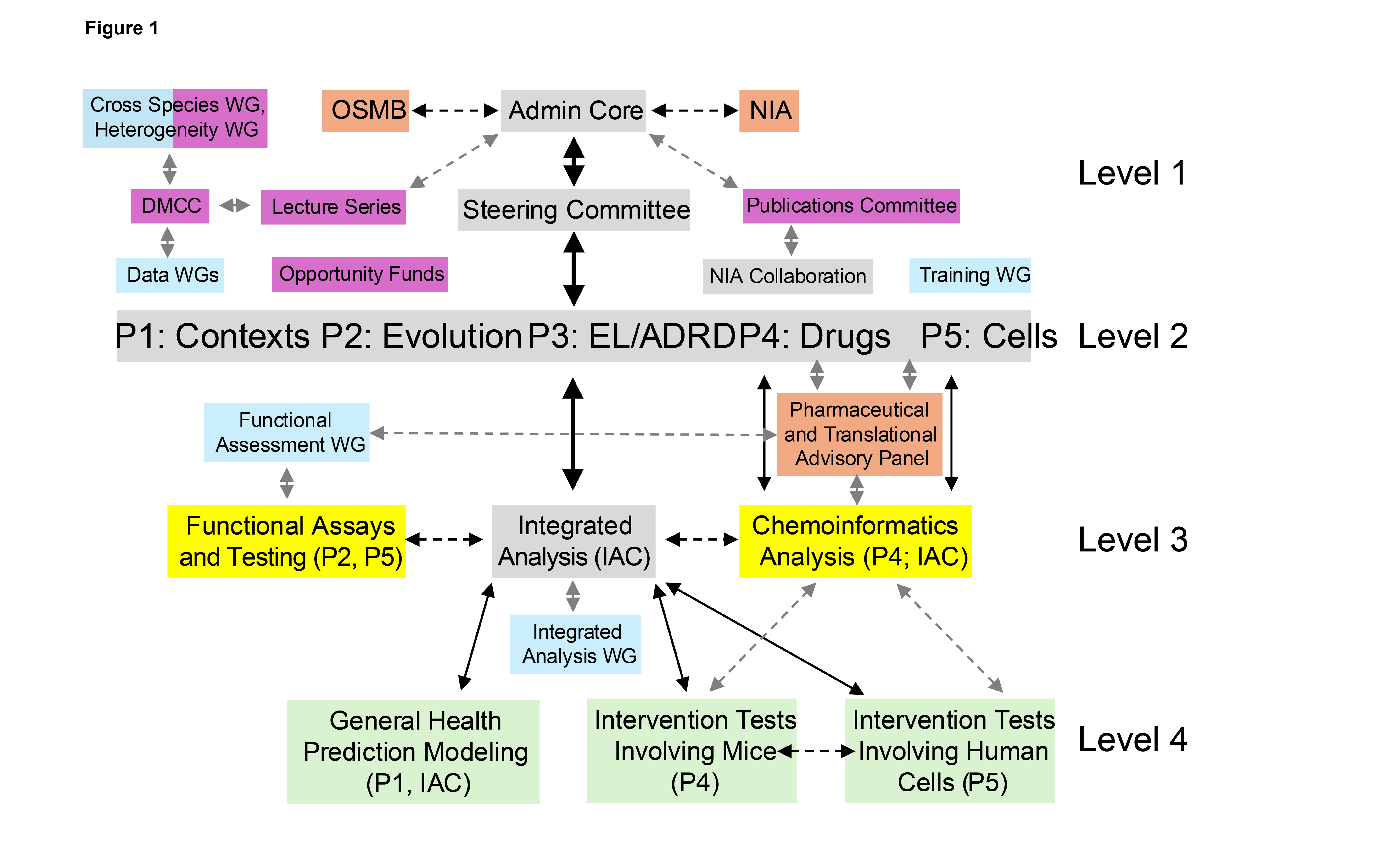 Overview Chart